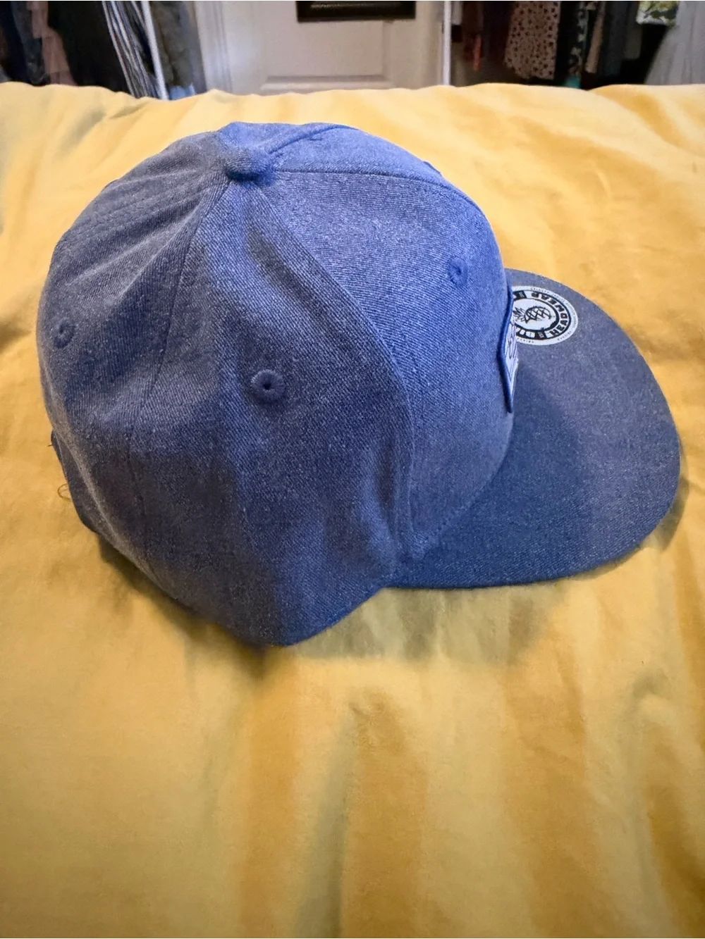 **NWT** Binky Bro- Blue Snapback Cap